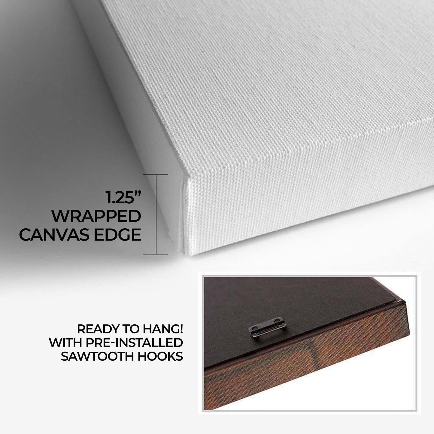 Spice Palette Colorful Herbs and Spices