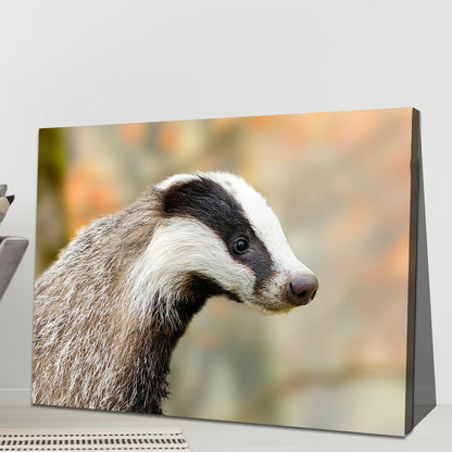 Woodland Badger Canvas Art