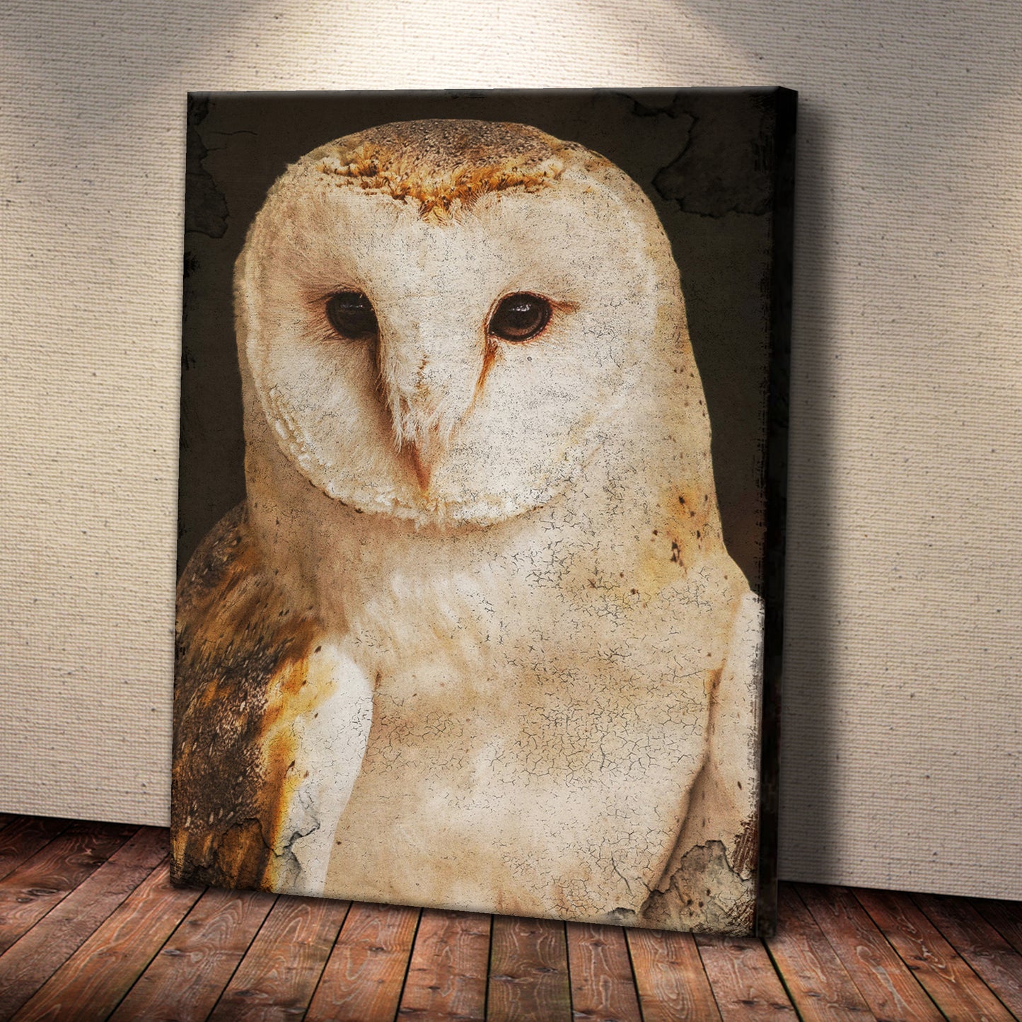 Barn Owl Gaze Rustic Canvas Wall Art
