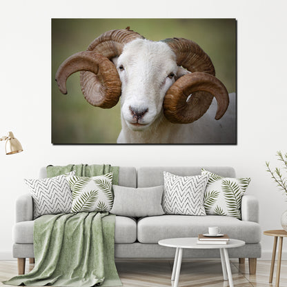 Majestic Horns Elegance Canvas Wall Art