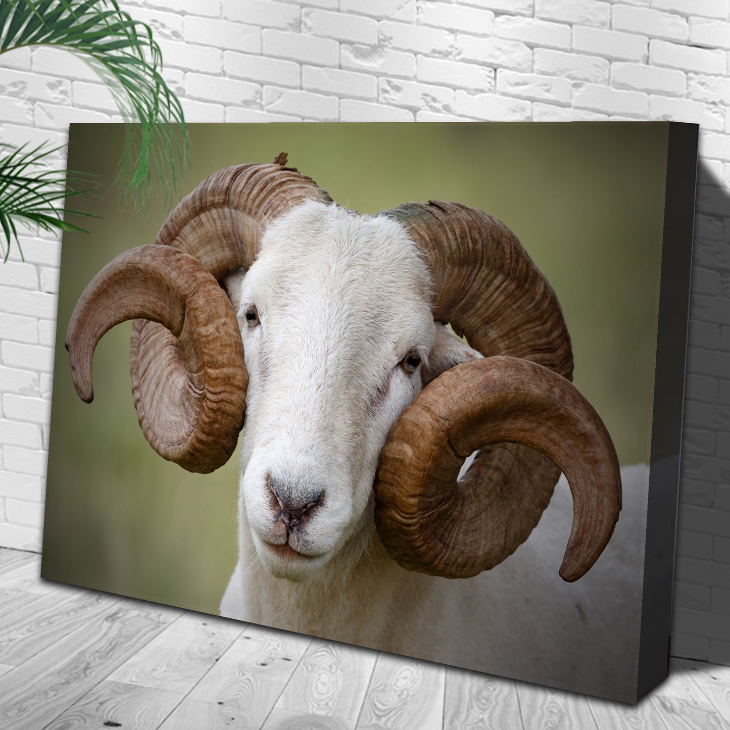 Majestic Horns Elegance Canvas Wall Art