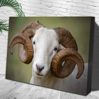 Majestic Horns Elegance Canvas Wall Art