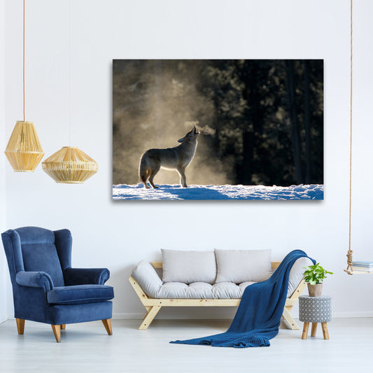Howling Coyote in the Wild Canvas Wall Art