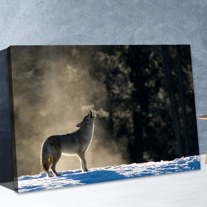 Howling Coyote in the Wild Canvas Wall Art