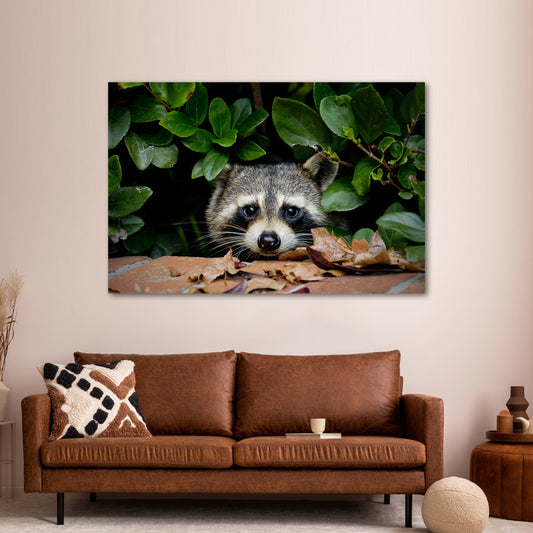 Peek-a-Boo Raccoon Canvas Wall Art in the Woods