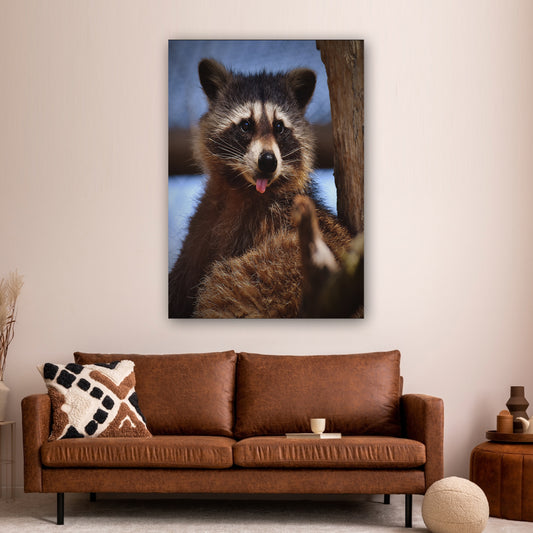 Cute Critter Raccoon Canvas Wall Art from the Forest