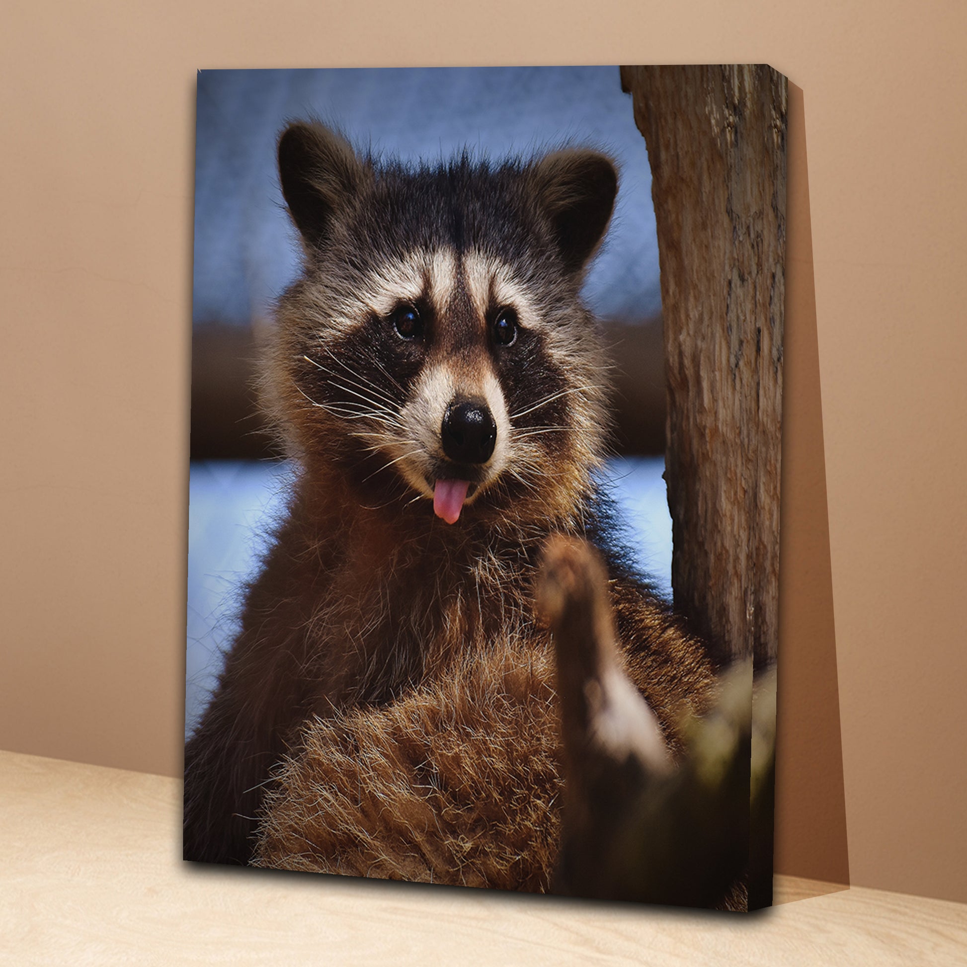 Cute Critter Raccoon Canvas Wall Art from the Forest