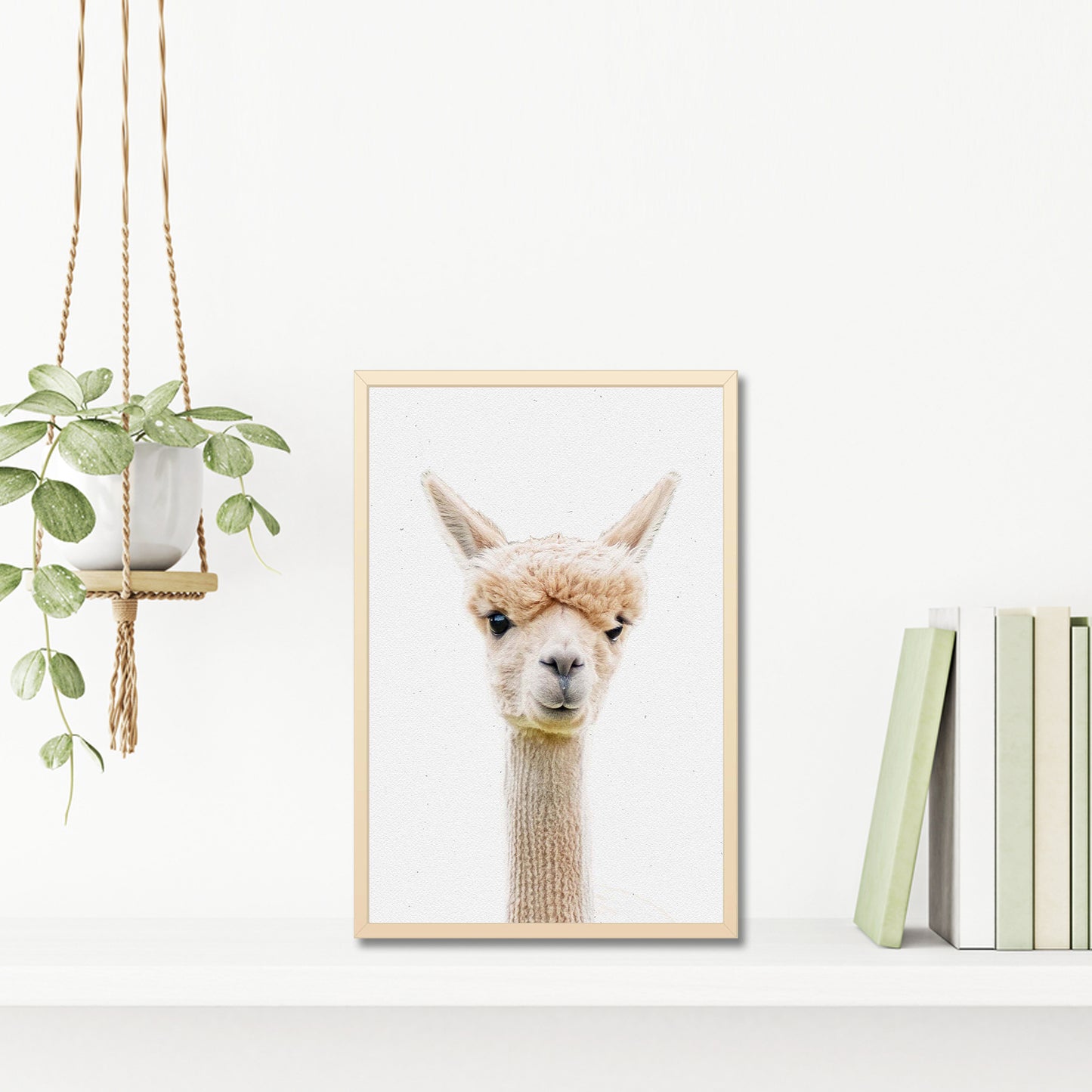 Alpaca with Stylish Bangs Canvas