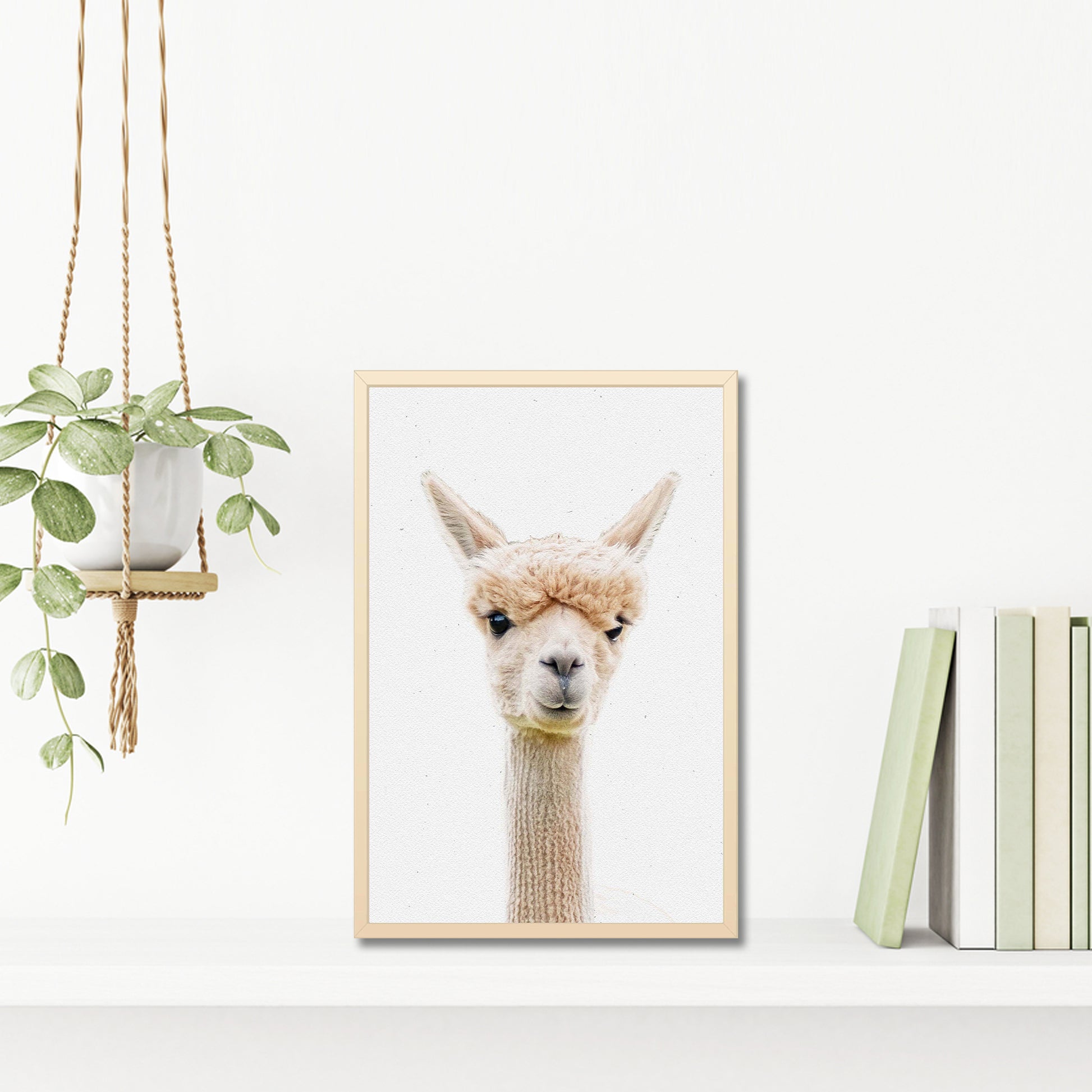 Alpaca with Stylish Bangs Canvas