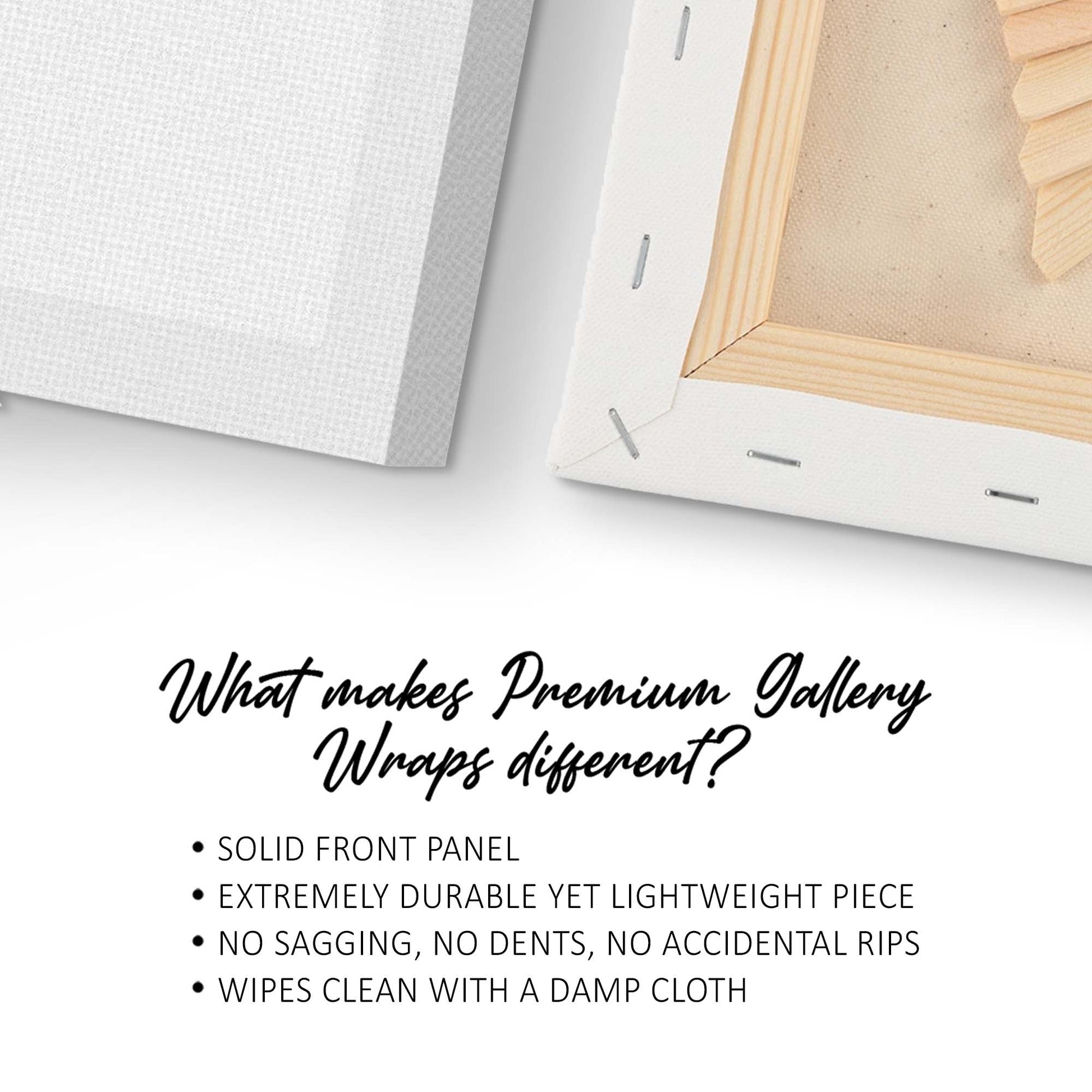 Spice Palette Colorful Herbs and Spices