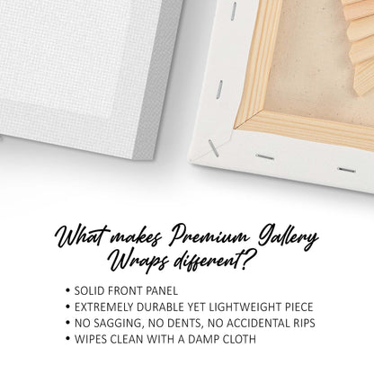 Spice Palette Colorful Herbs and Spices