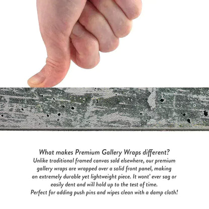 Celestial Comet Comet Hurtling Canvas Wall Art