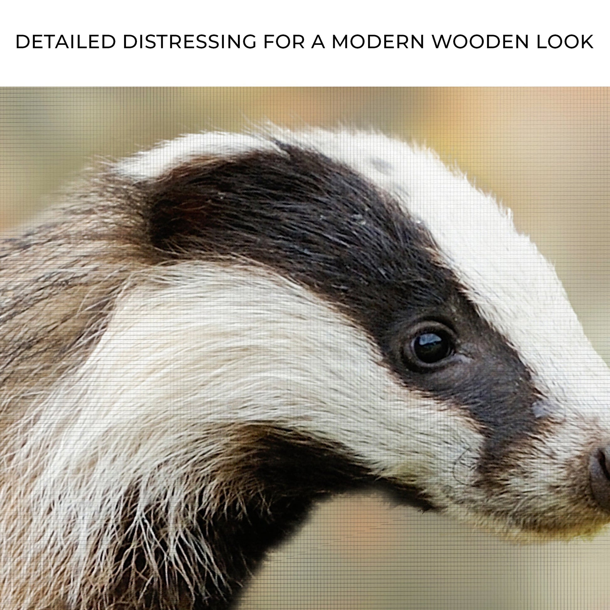 Woodland Badger Canvas Art
