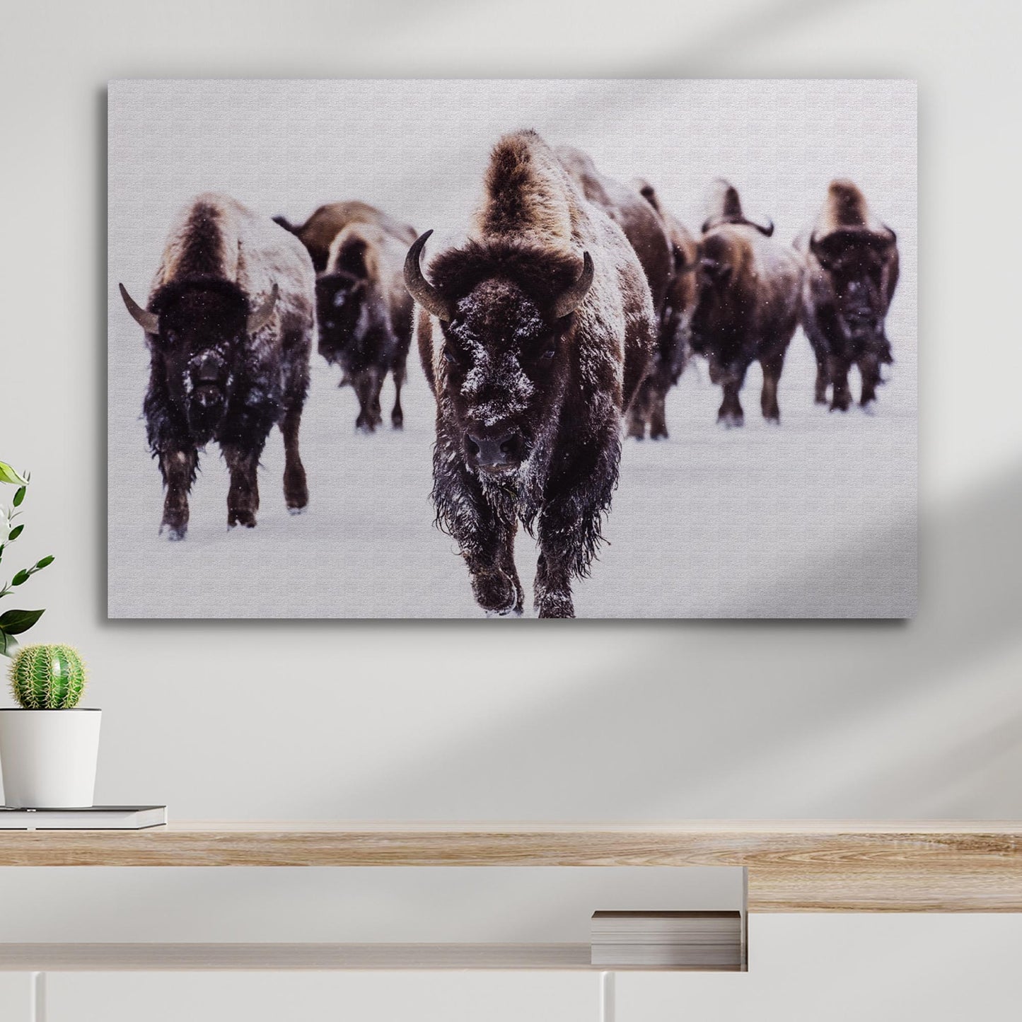 Winter Bison Wilderness Canvas Wall Art