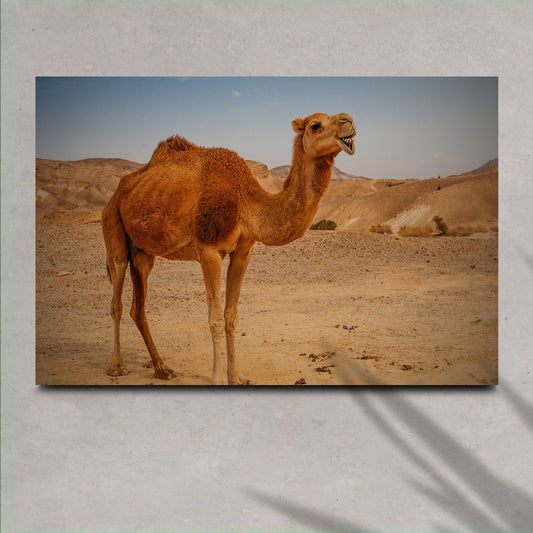 Arabian Camel's Grace on Canvas Wall Art