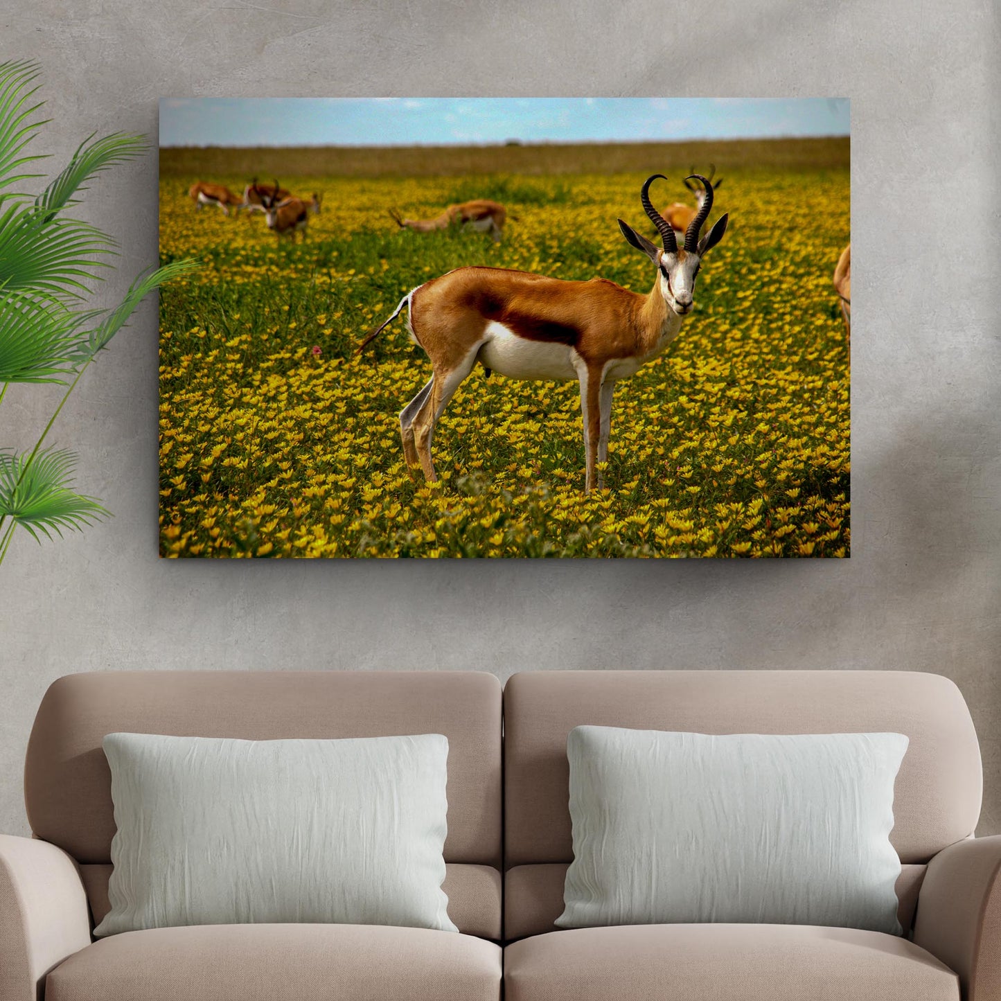 Antelopes in Springtime  Canvas Wall Art with Wildlife