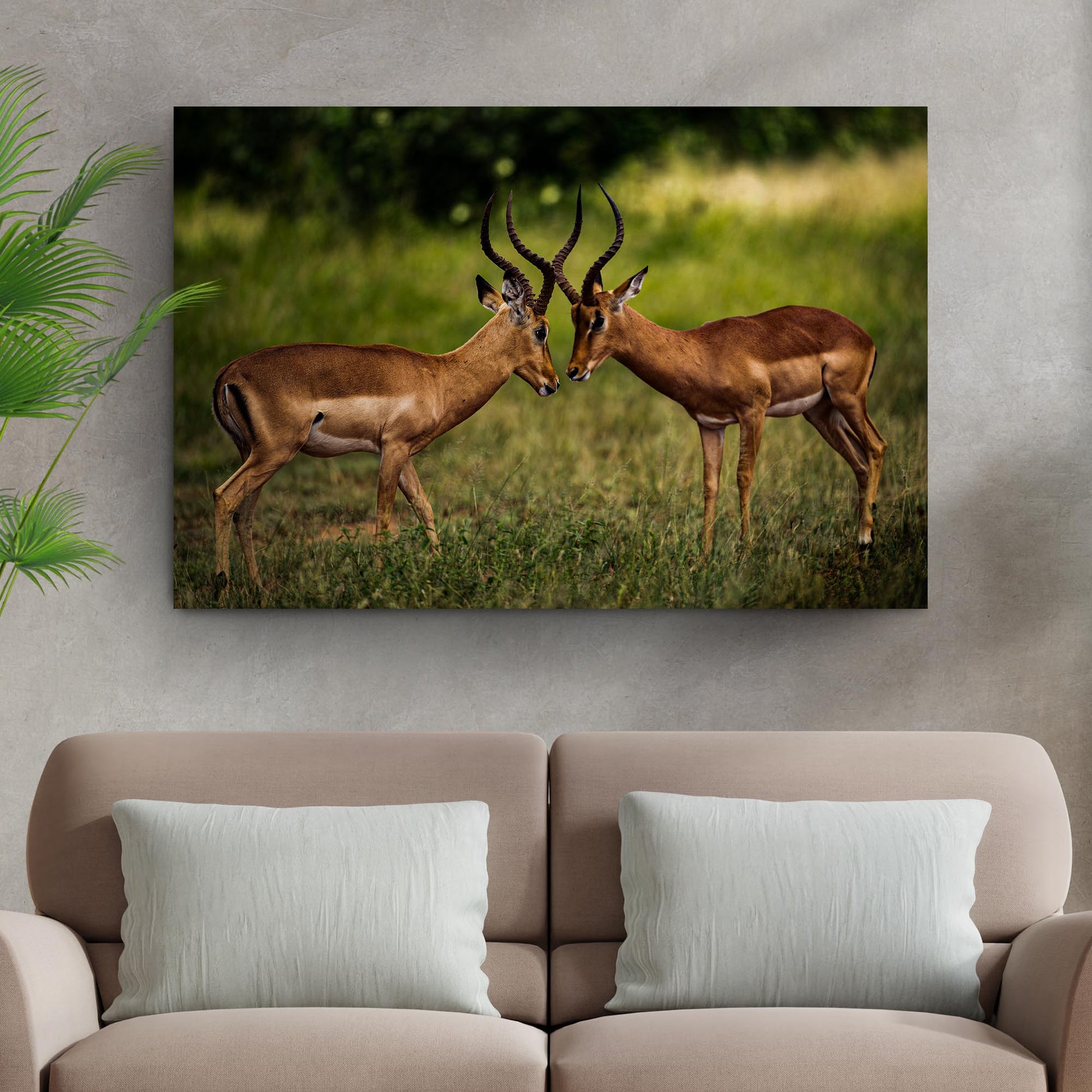 Antelope Aggression Artwork Wall Art