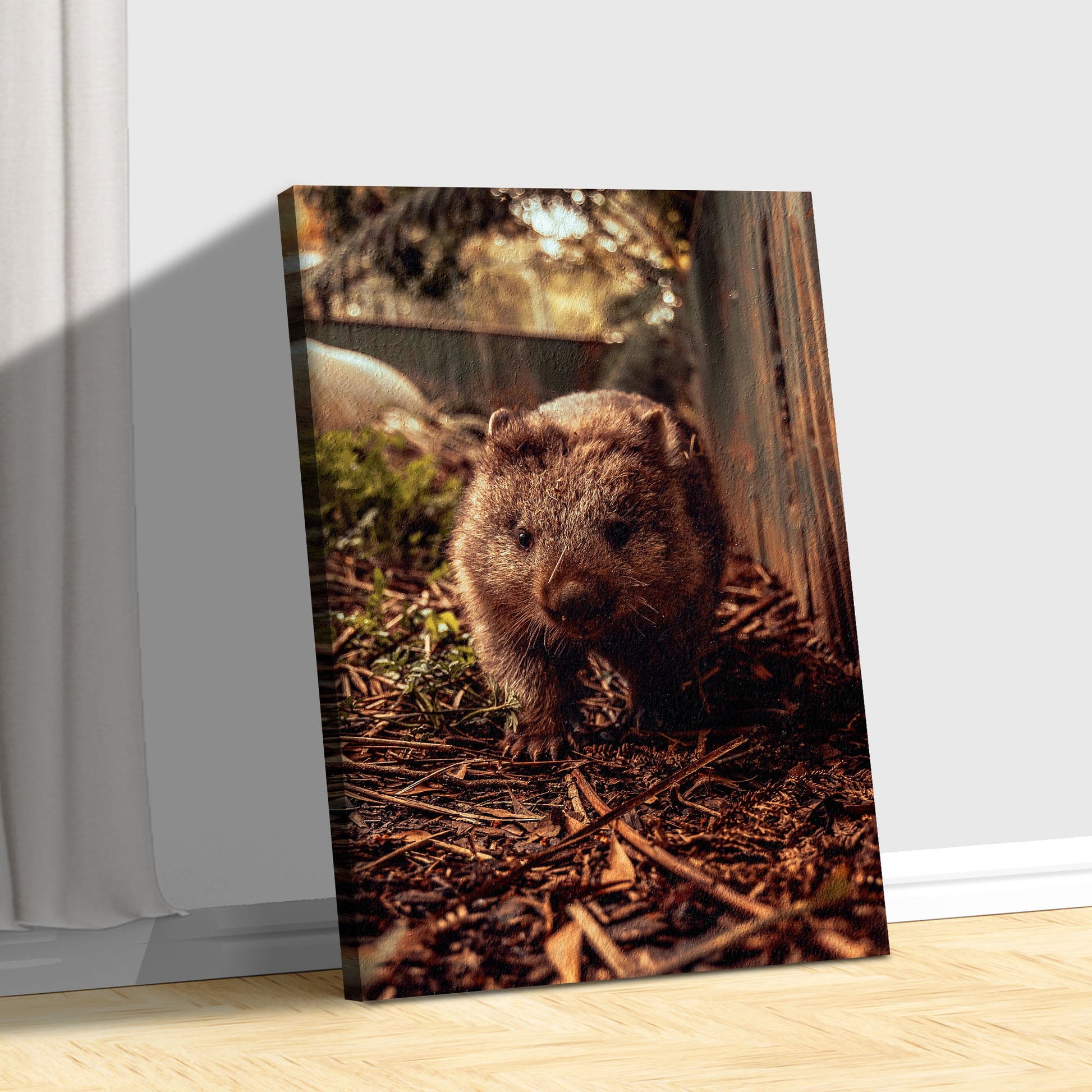 Wombat in the Forest  Canvas Wall Art with Wildlife