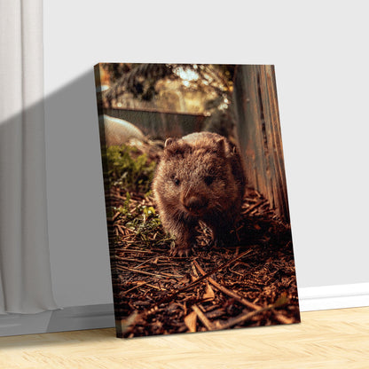 Wombat in the Forest  Canvas Wall Art with Wildlife