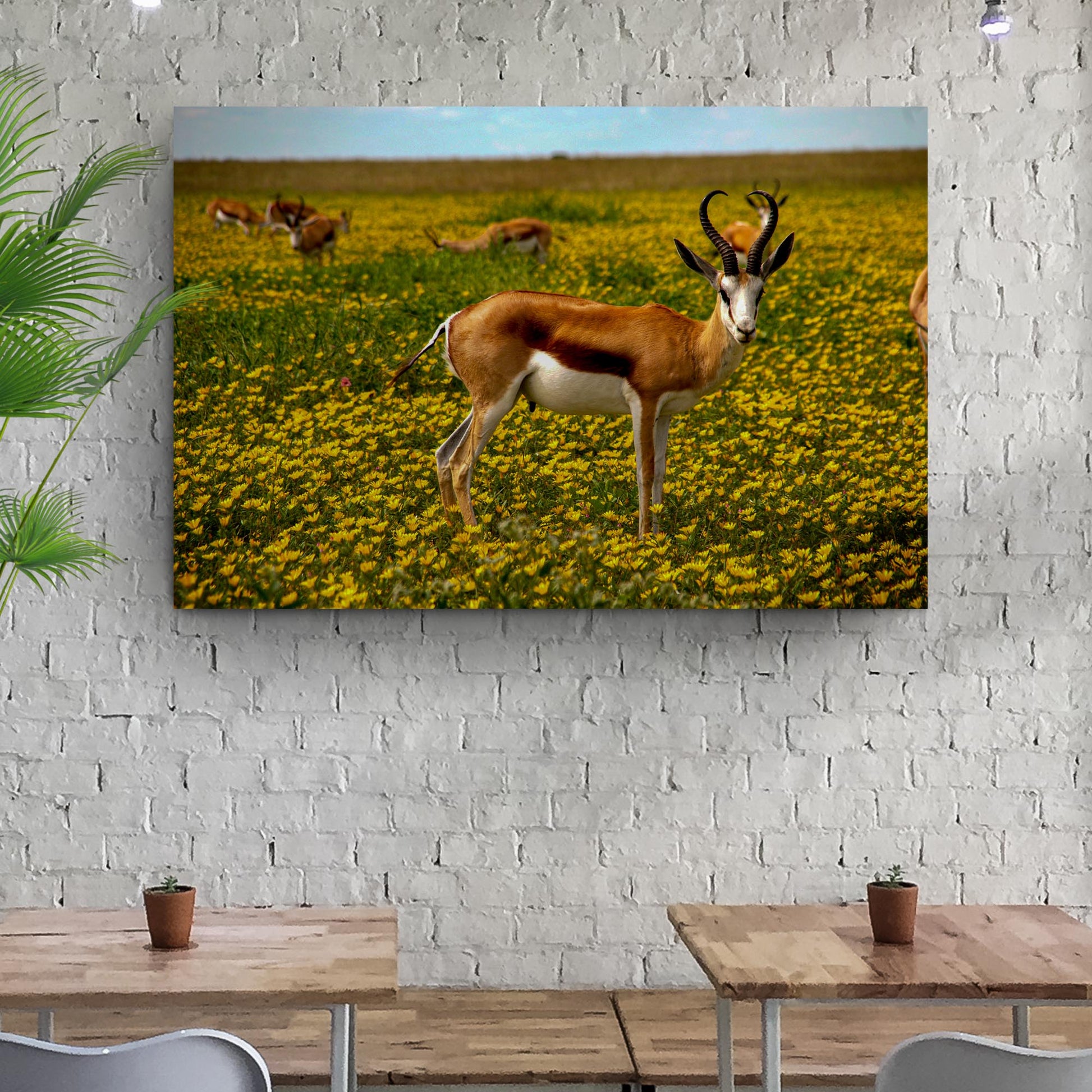 Antelopes in Springtime  Canvas Wall Art with Wildlife