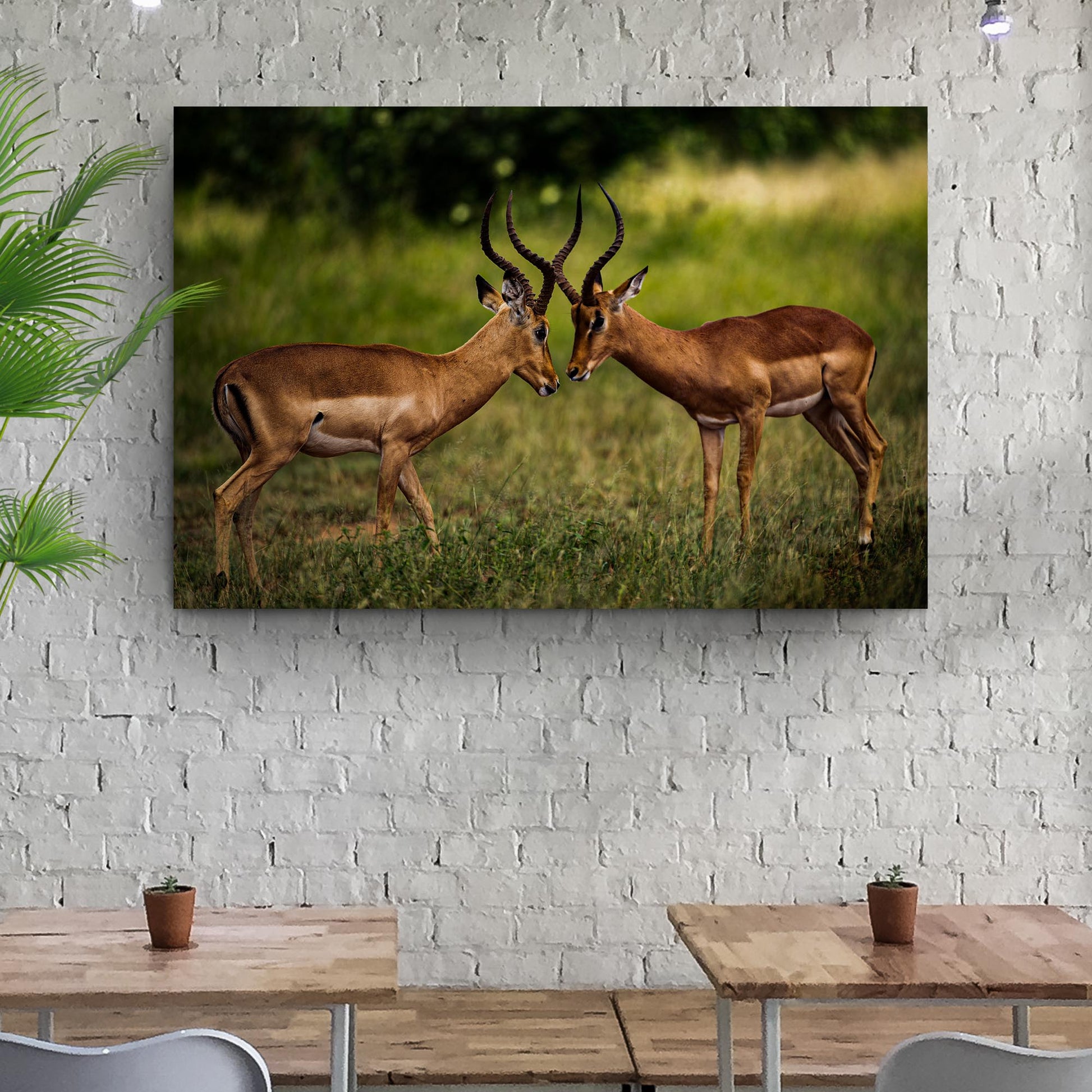 Antelope Aggression Artwork Wall Art