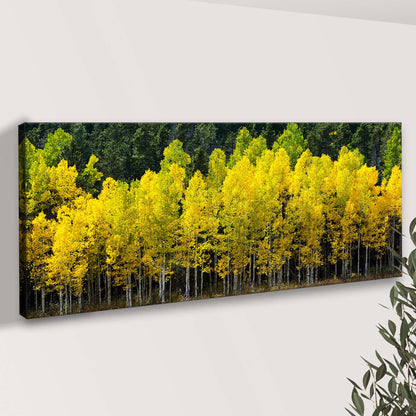Aspen Grove Symphony Colorado Aspen Grove Canvas Wall Art