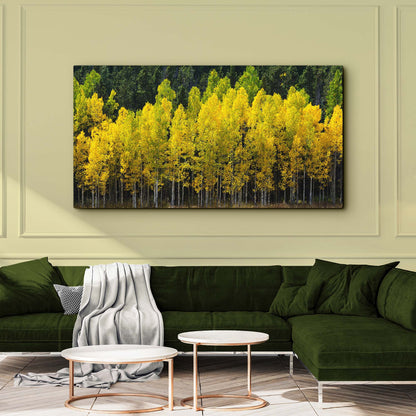 Aspen Grove Symphony Colorado Aspen Grove Canvas Wall Art