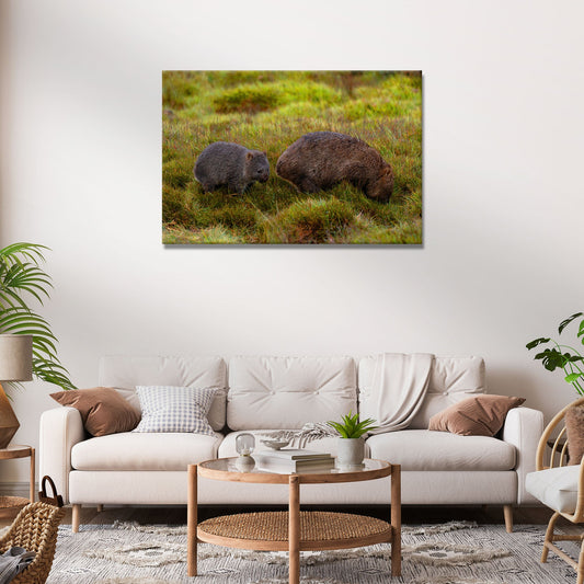 Wombat in the Field  Canvas Wall Art with Serene Vibes