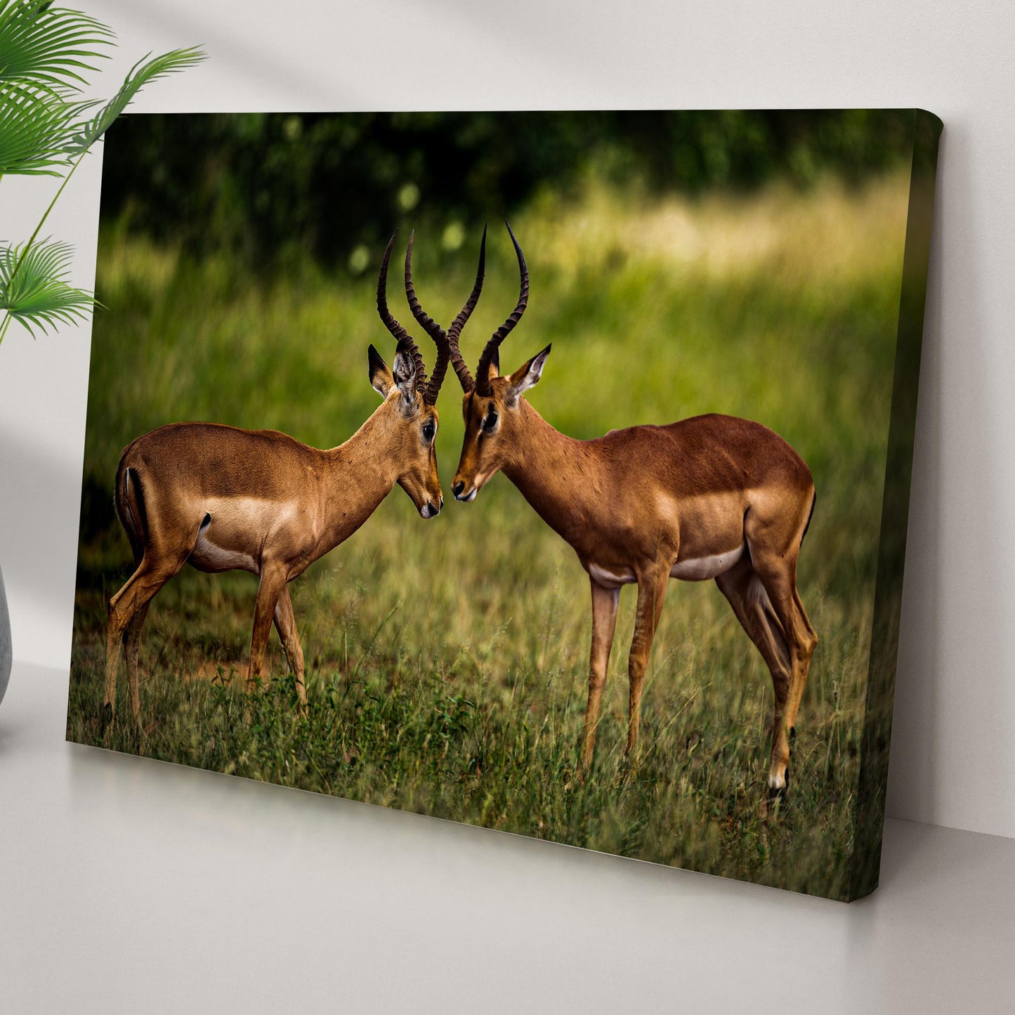 Antelope Aggression Artwork Wall Art