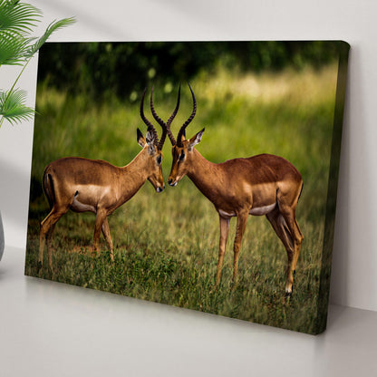 Antelope Aggression Artwork Wall Art