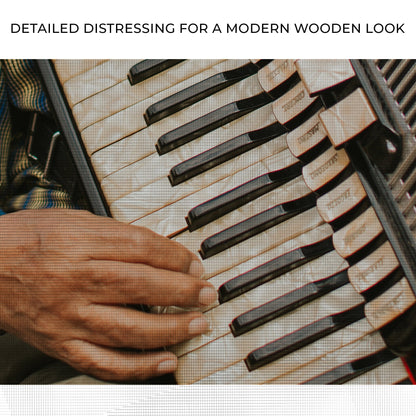 Accordionist's Canvas Performance