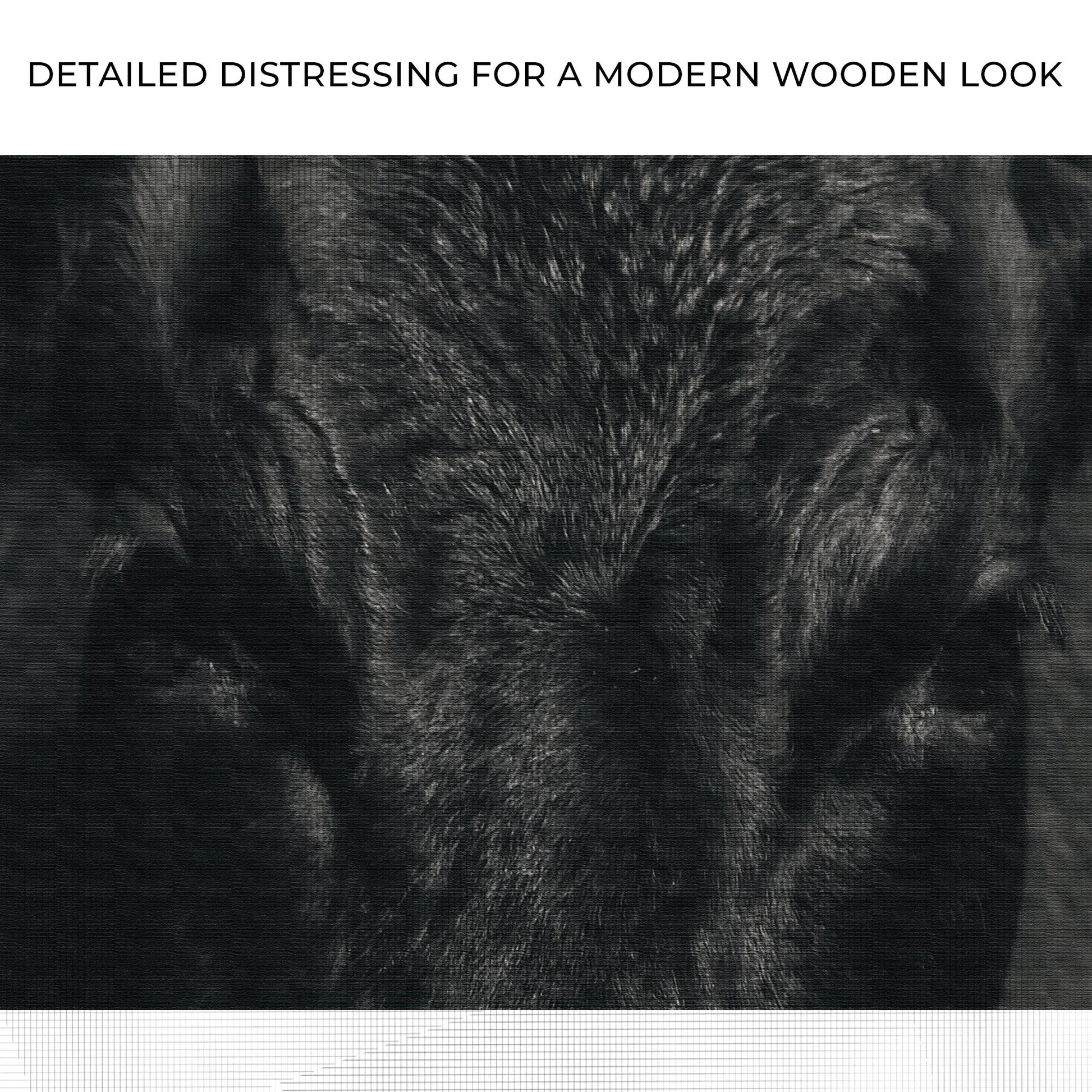 Angus Bull Essence Portrait Canvas Wall Art