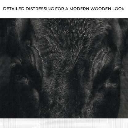 Angus Bull Essence Portrait Canvas Wall Art