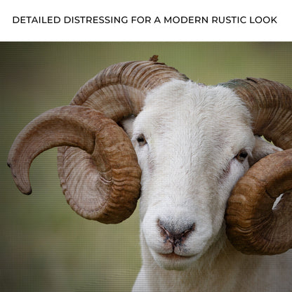 Majestic Horns Elegance Canvas Wall Art