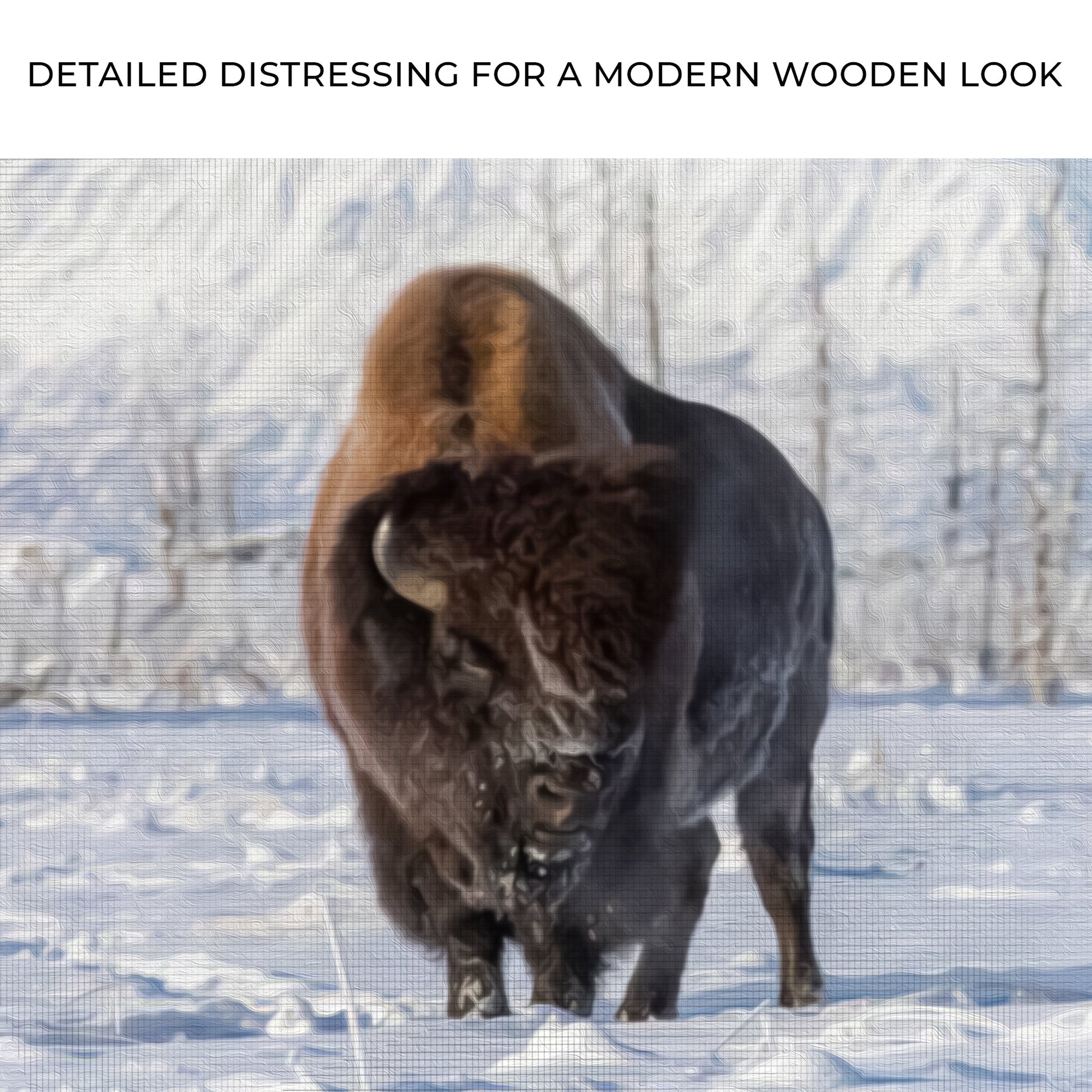 Winter Bison Dreams Canvas Wall Art