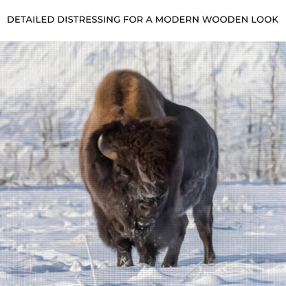 Winter Bison Dreams Canvas Wall Art