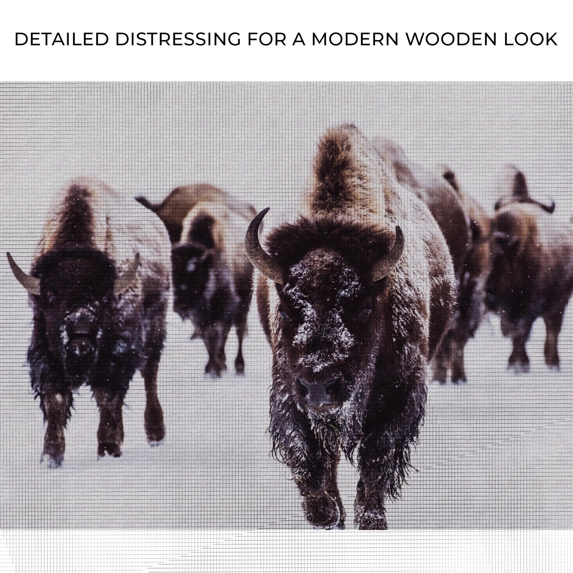 Winter Bison Wilderness Canvas Wall Art