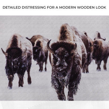 Winter Bison Wilderness Canvas Wall Art