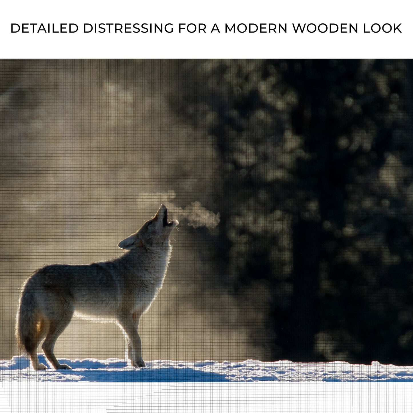 Howling Coyote in the Wild Canvas Wall Art