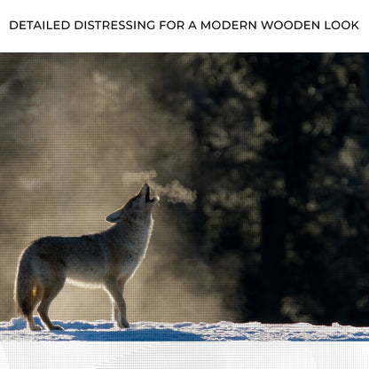 Howling Coyote in the Wild Canvas Wall Art